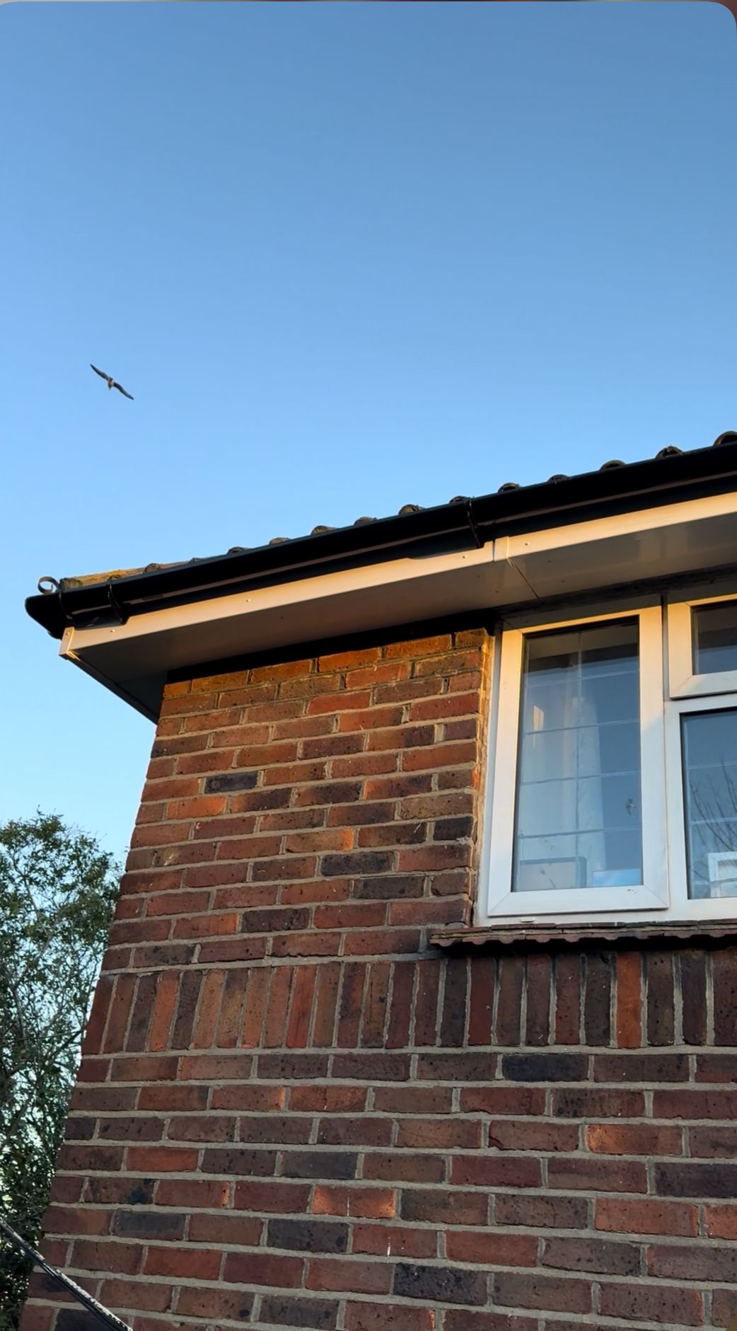 Gutter Installation
